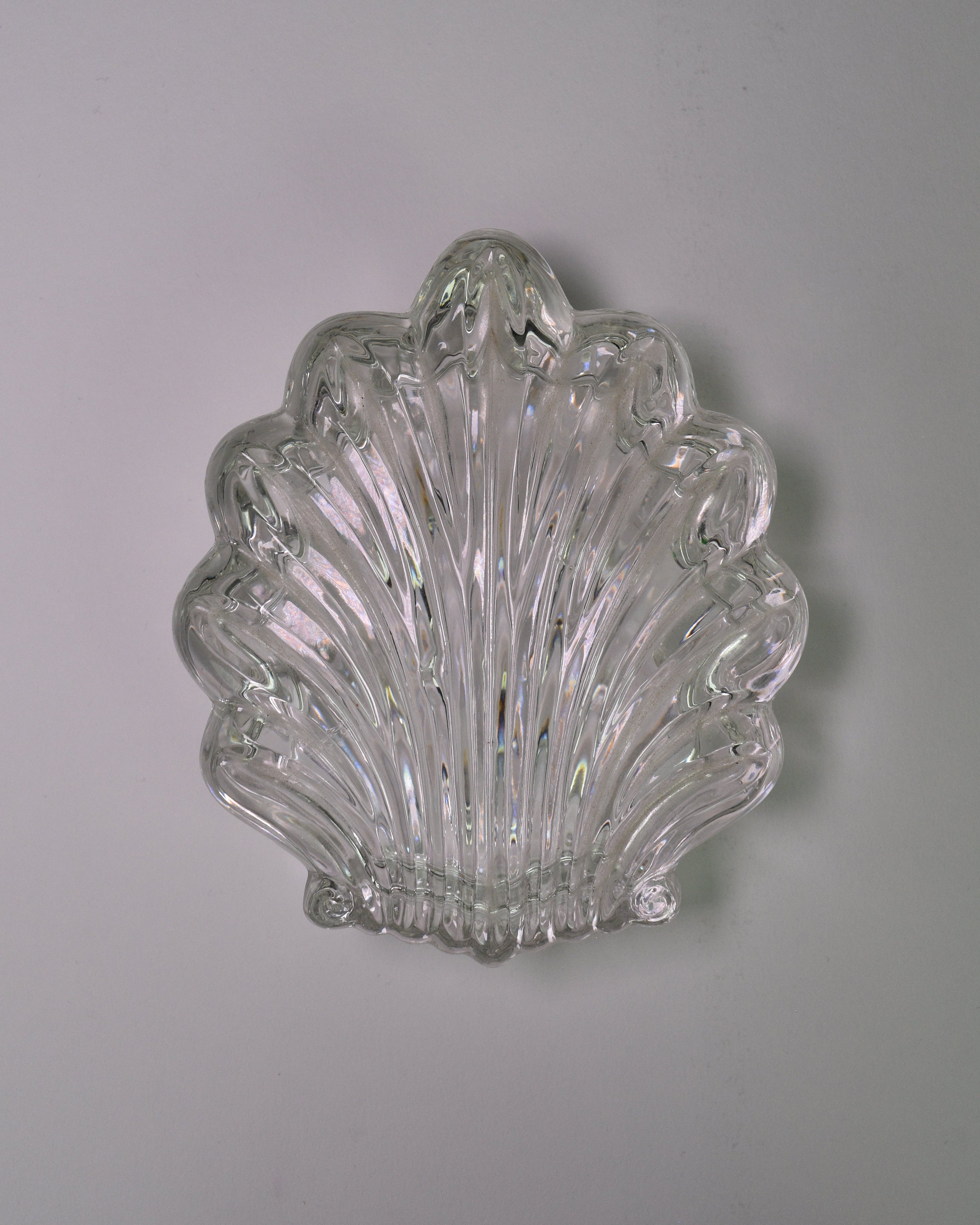Glass Shell Keepsake Jar