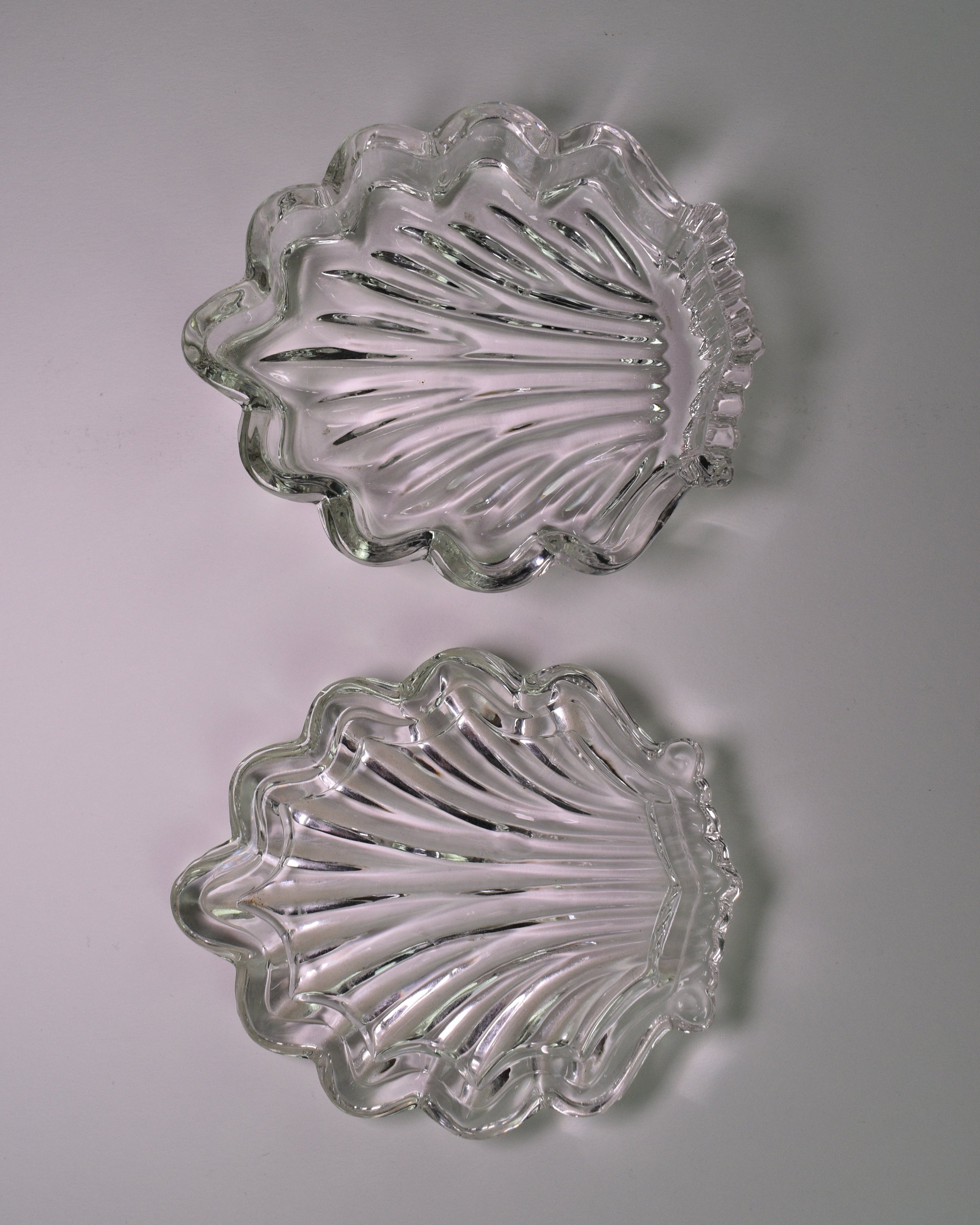 Glass Shell Keepsake Jar