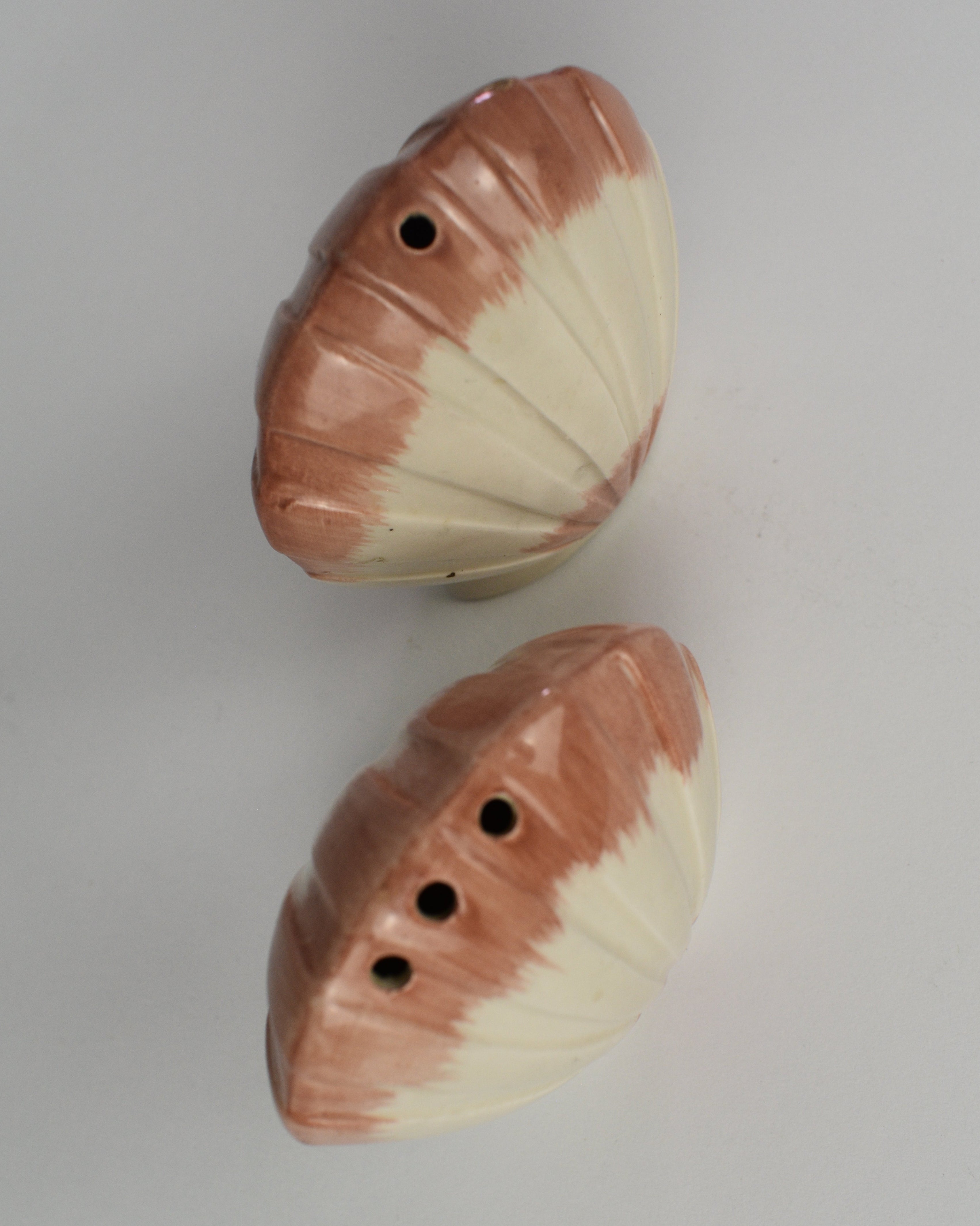 Shell Salt & Pepper Shaker Set
