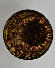 Tortoise Shell Container