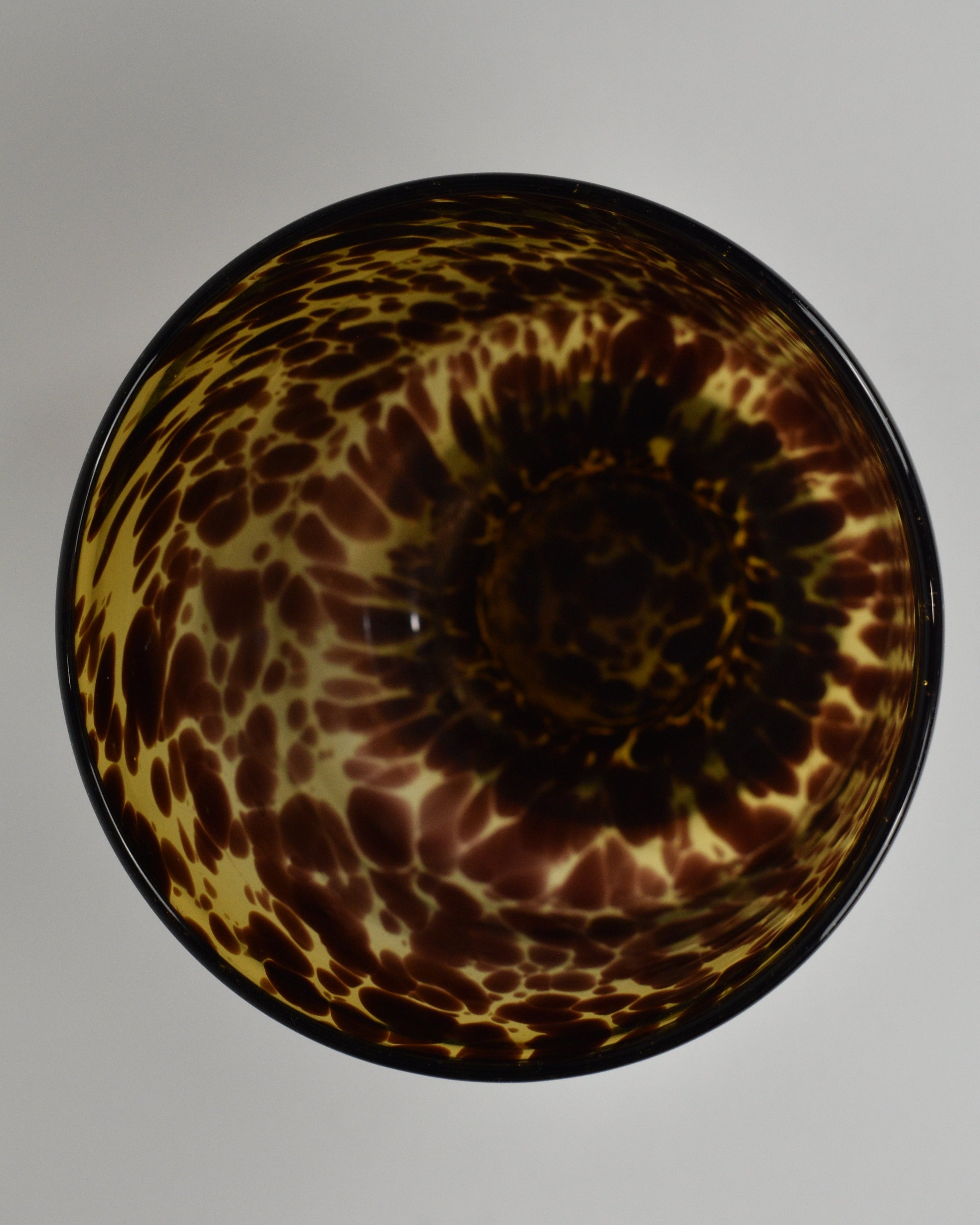 Tortoise Shell Container