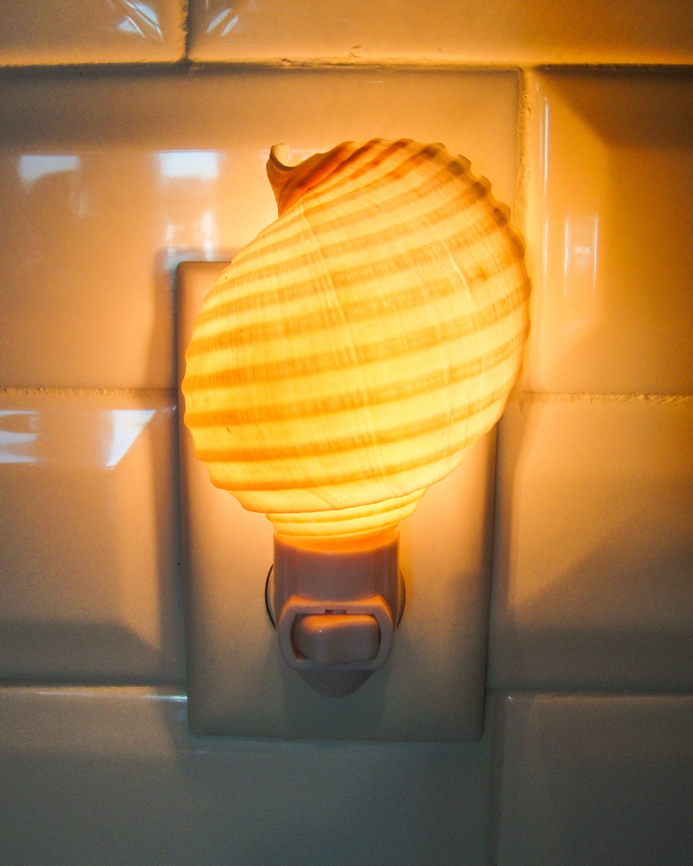 Tonna Allium Night Light