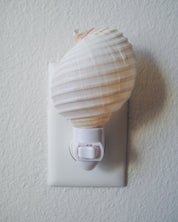 Tonna Allium Night Light