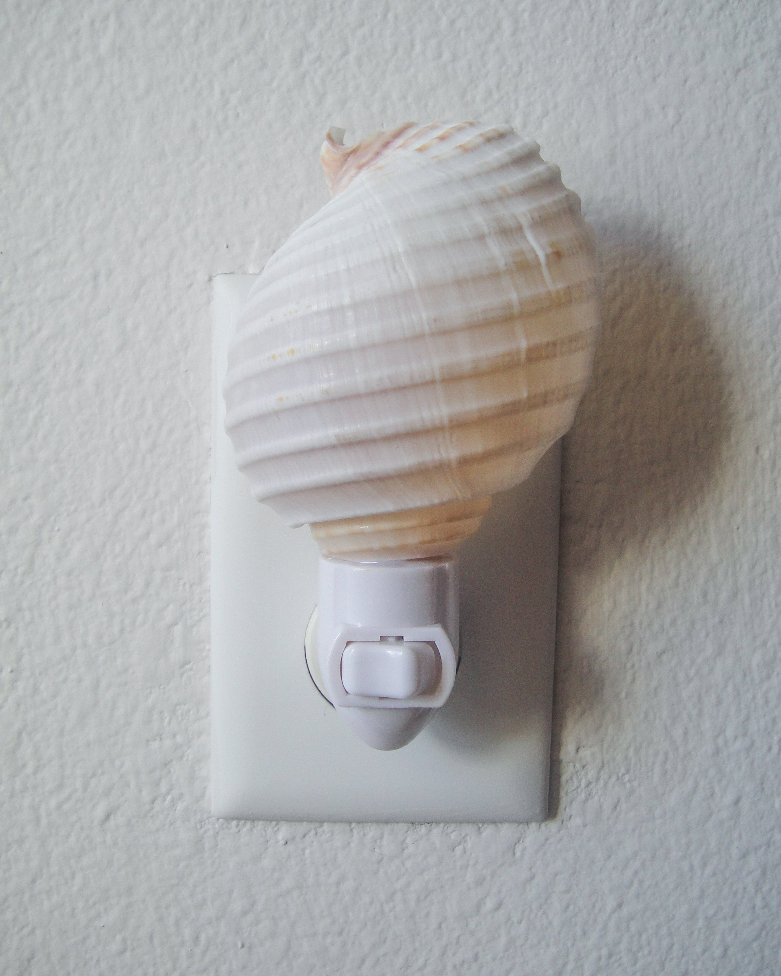 Tonna Allium Night Light