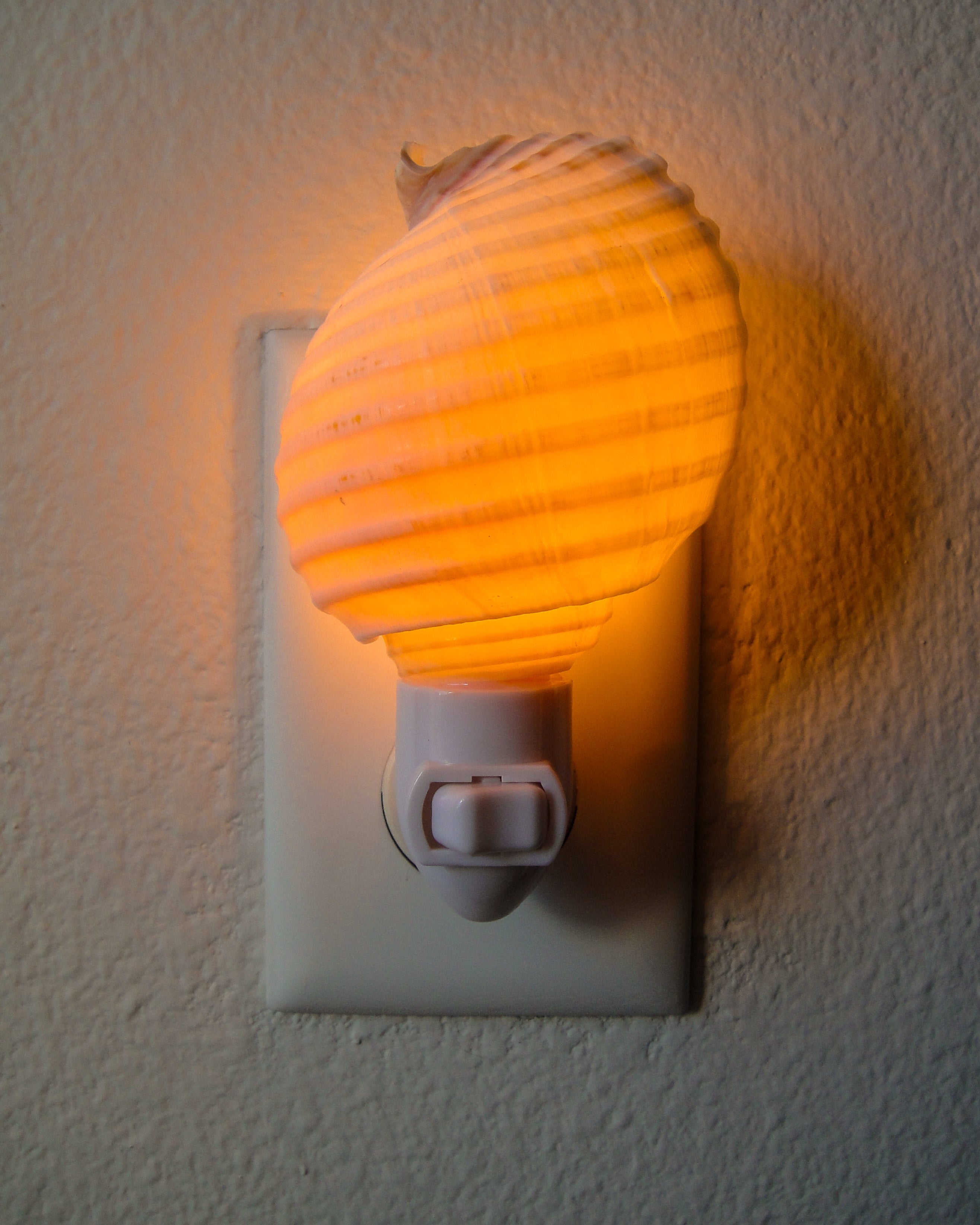 Tonna Allium Night Light