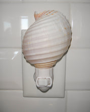 Tonna Allium Night Light