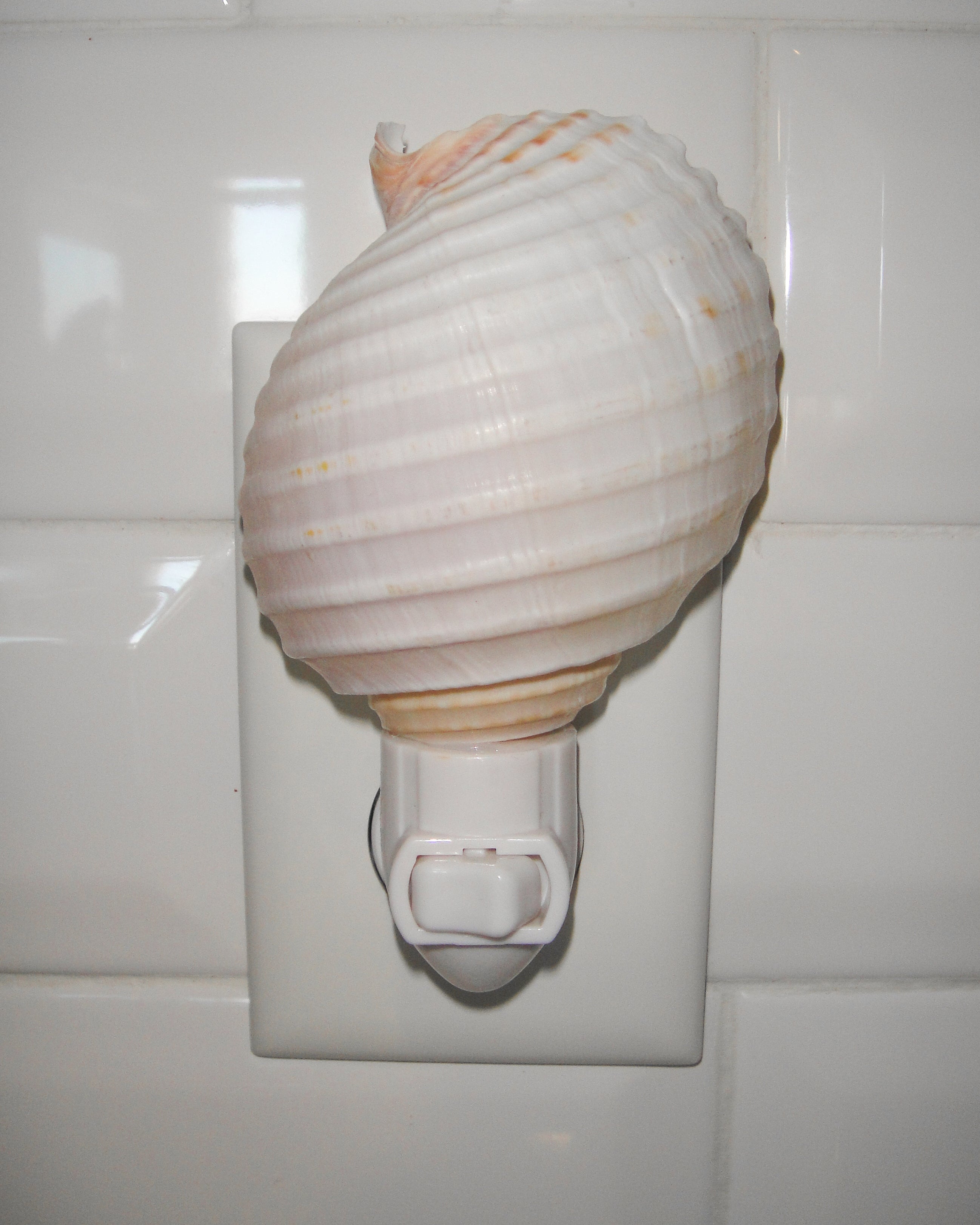 Tonna Allium Night Light