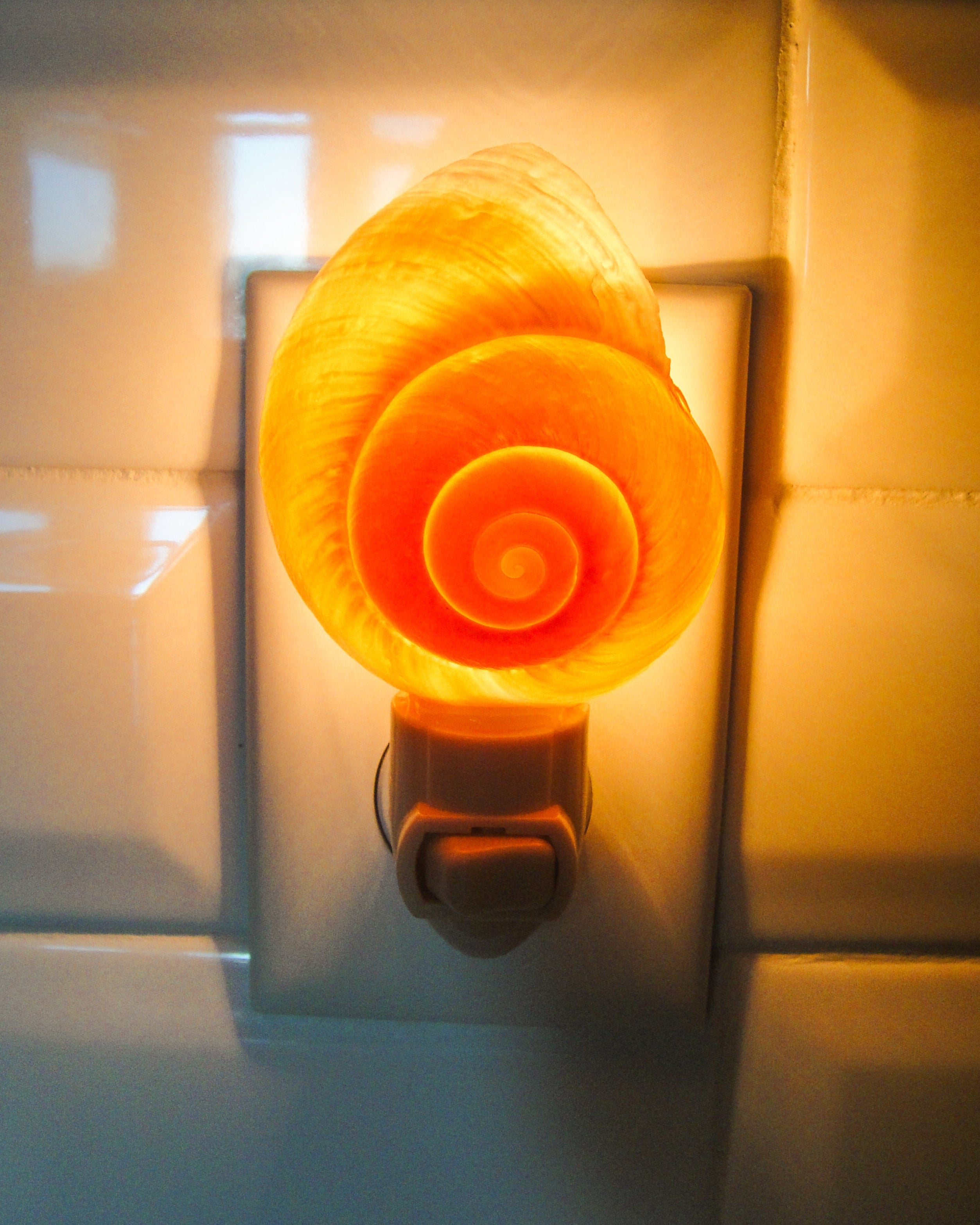 Giant Landsnail Night Light