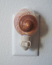 Giant Landsnail Night Light