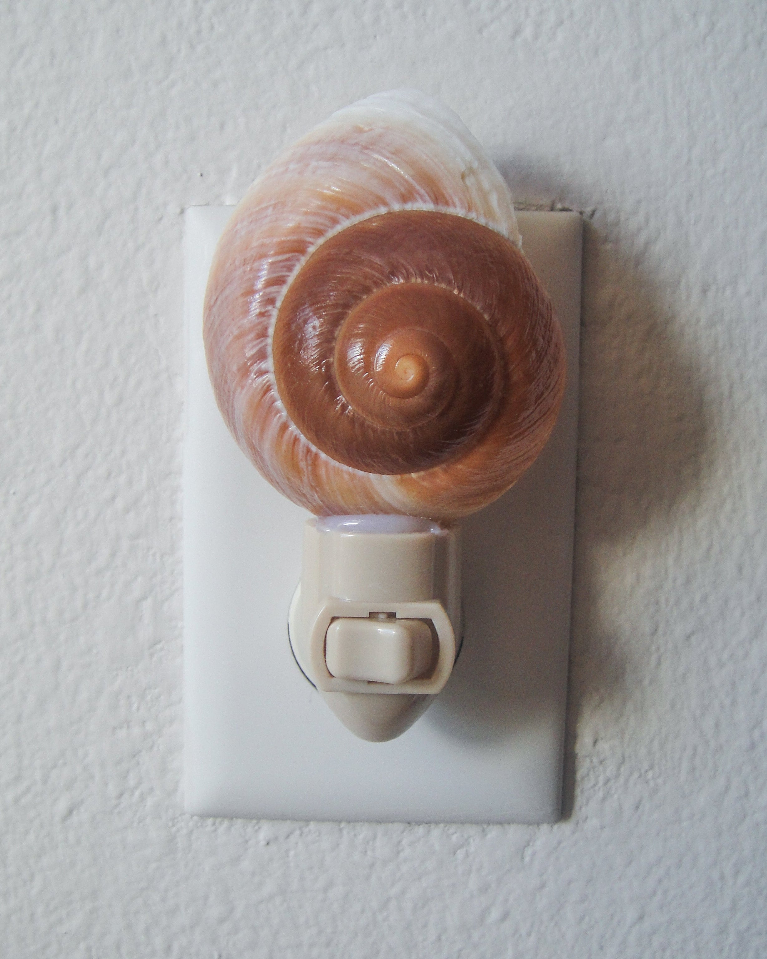 Giant Landsnail Night Light