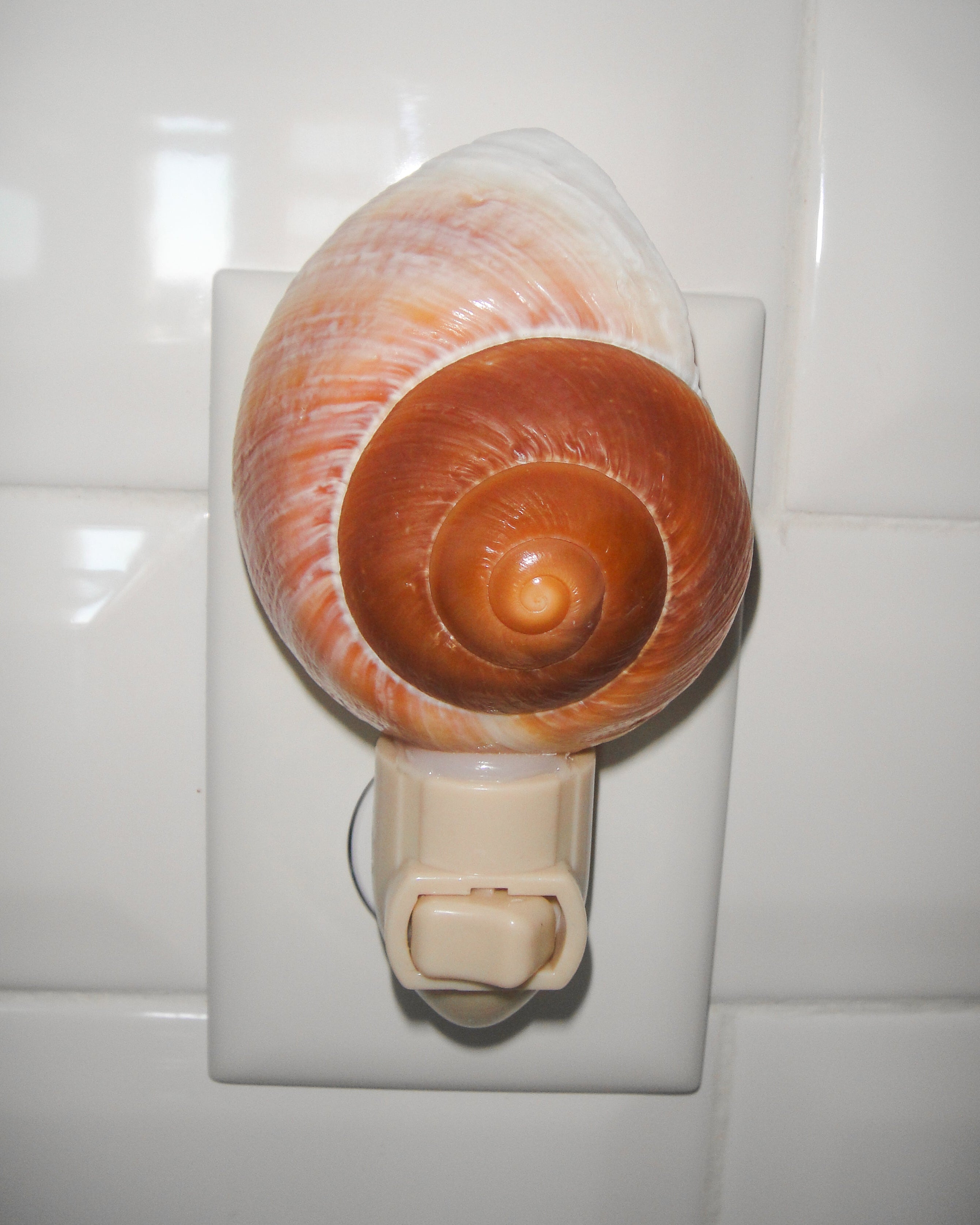 Giant Landsnail Night Light