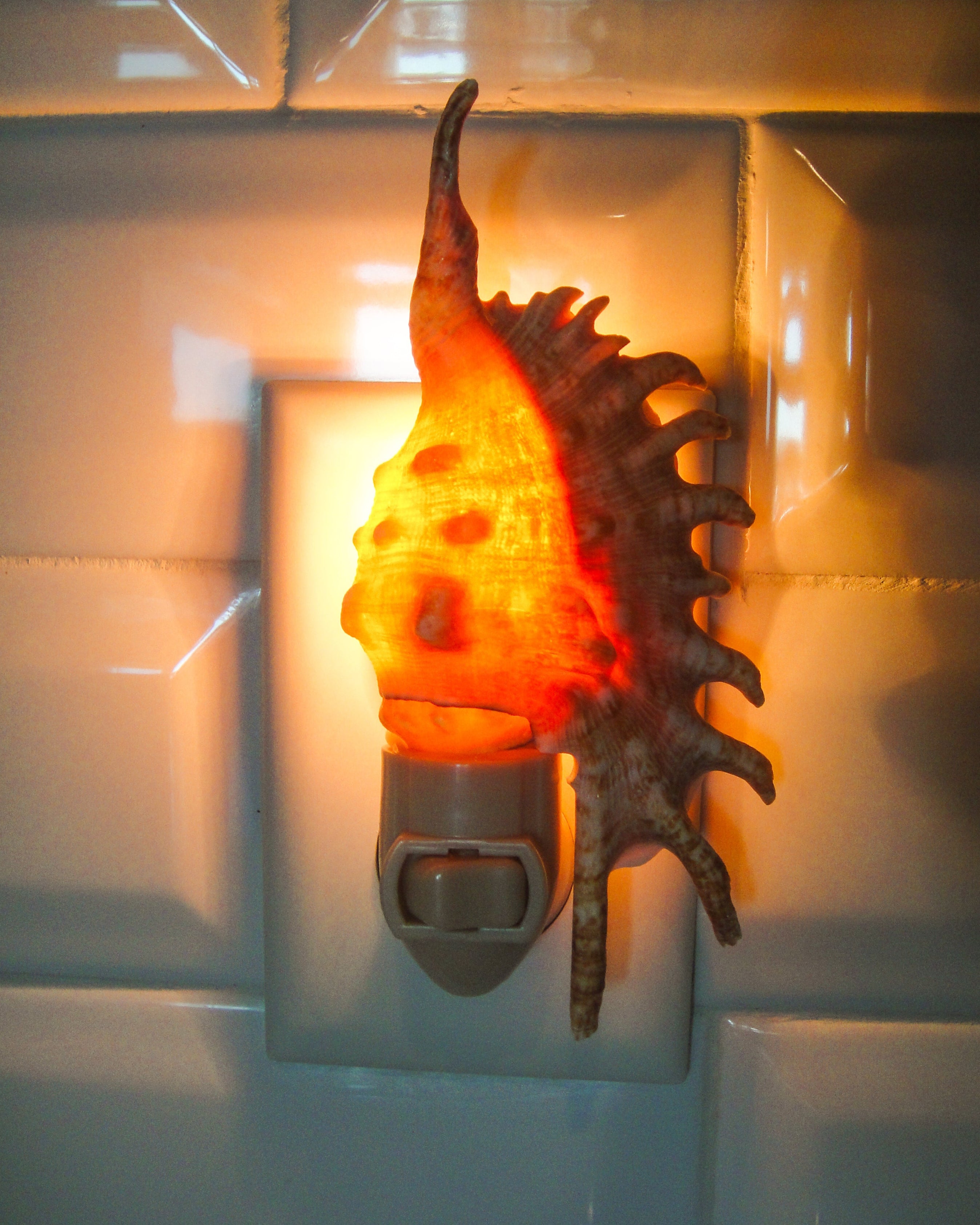Lambis Millipeda Night Light