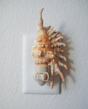 Lambis Millipeda Night Light