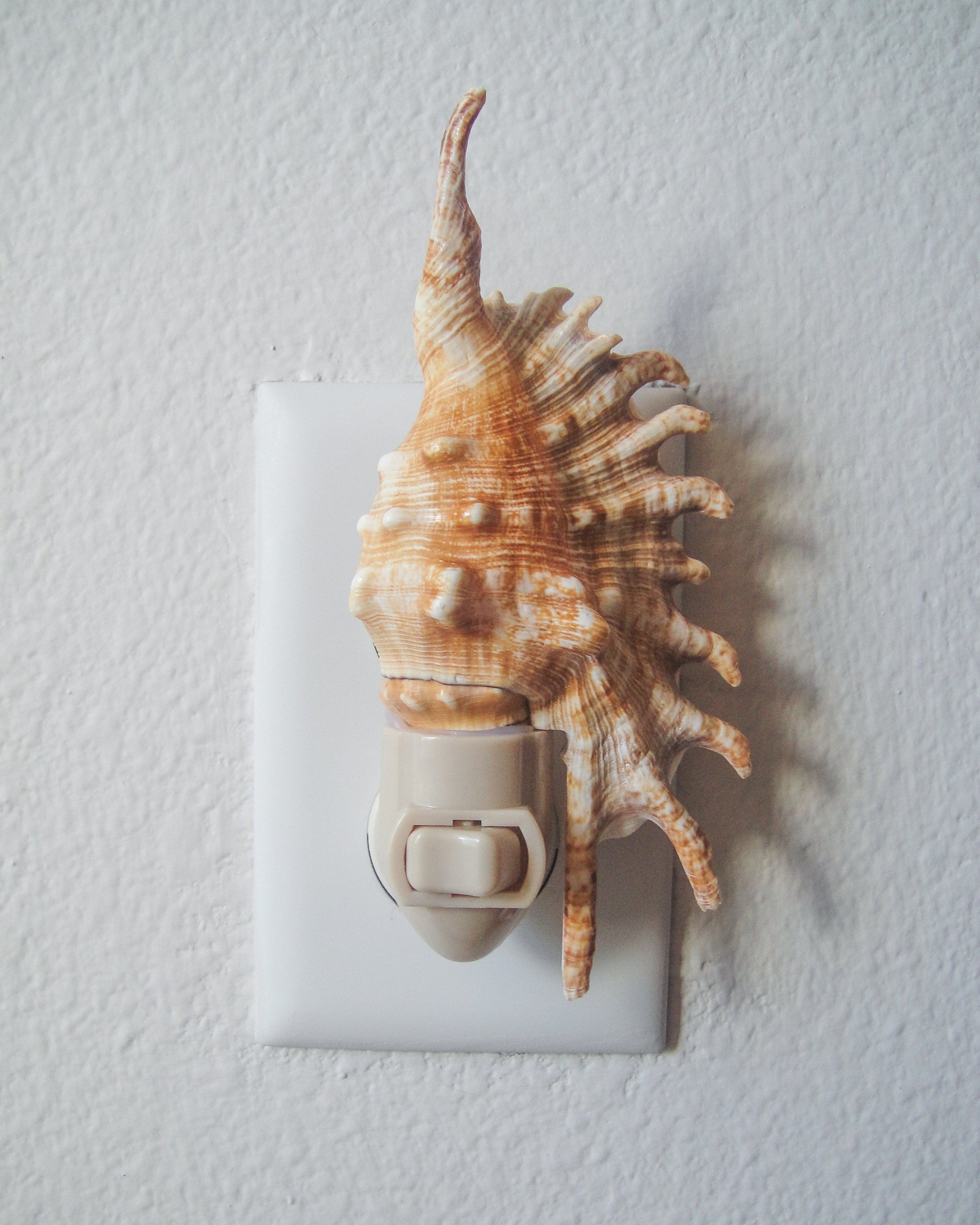 Lambis Millipeda Night Light