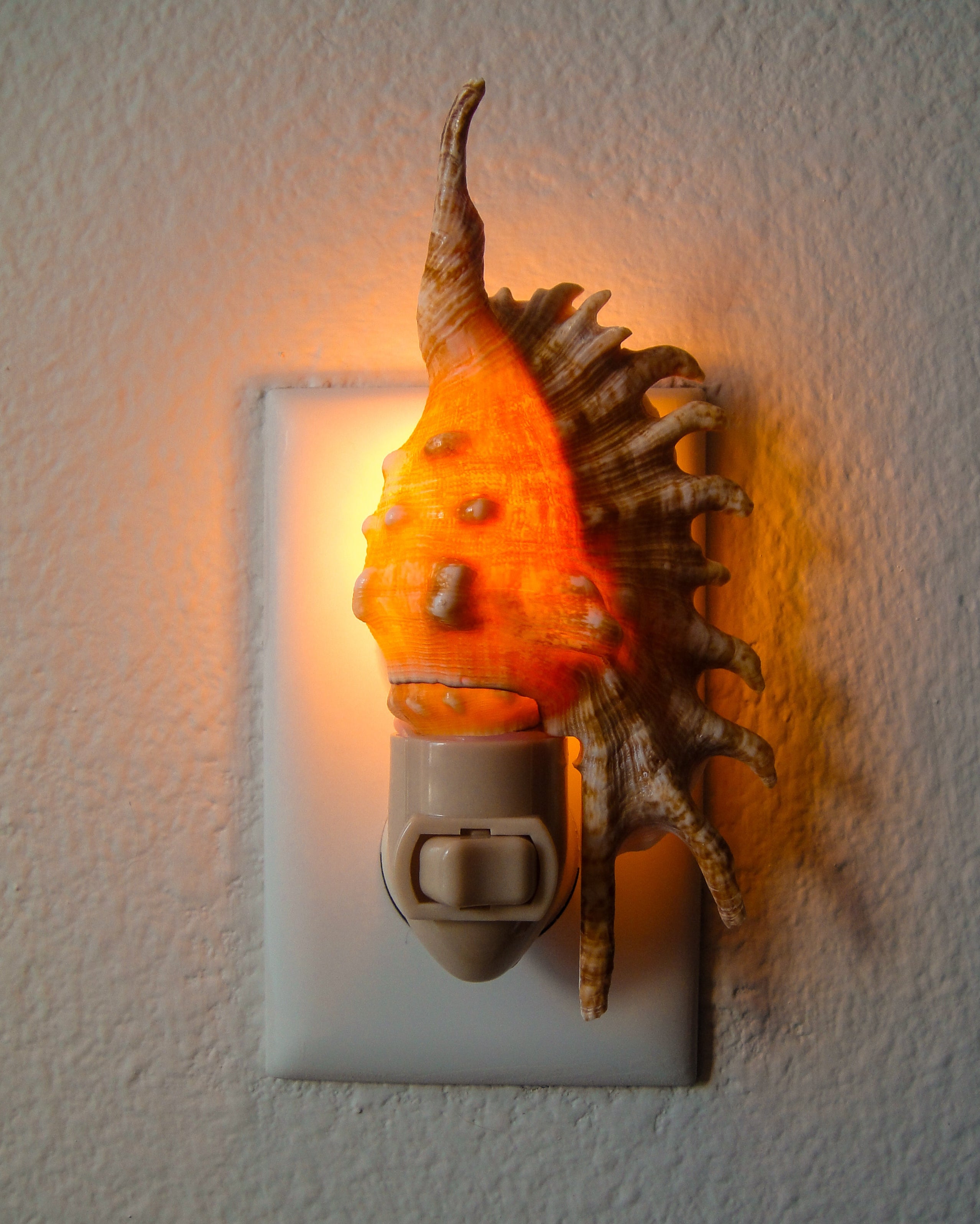 Lambis Millipeda Night Light