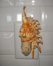 Lambis Millipeda Night Light