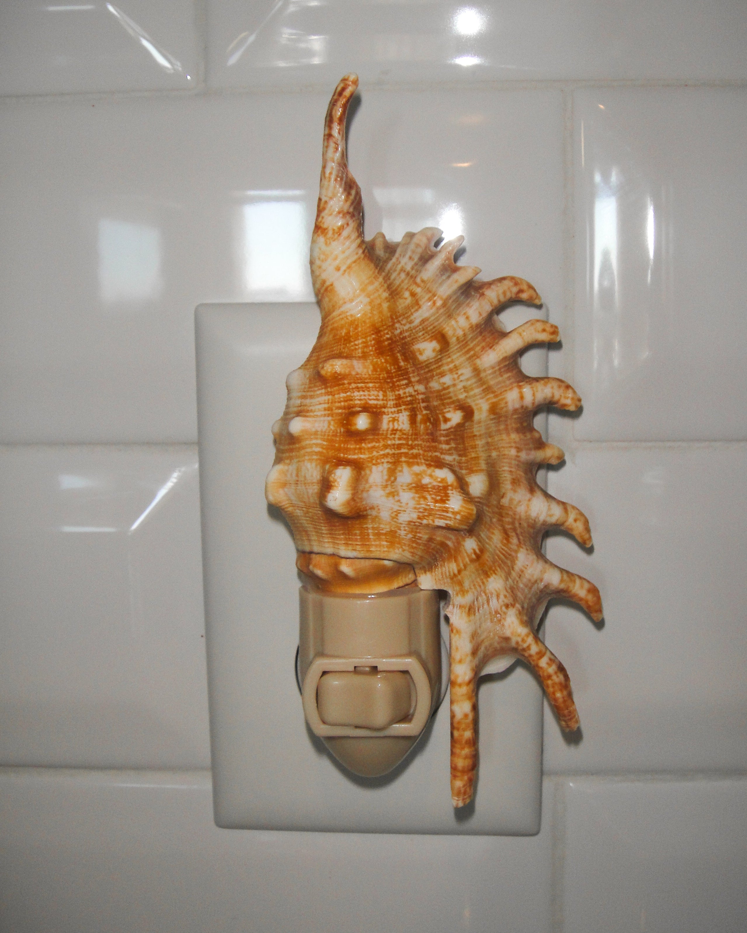 Lambis Millipeda Night Light