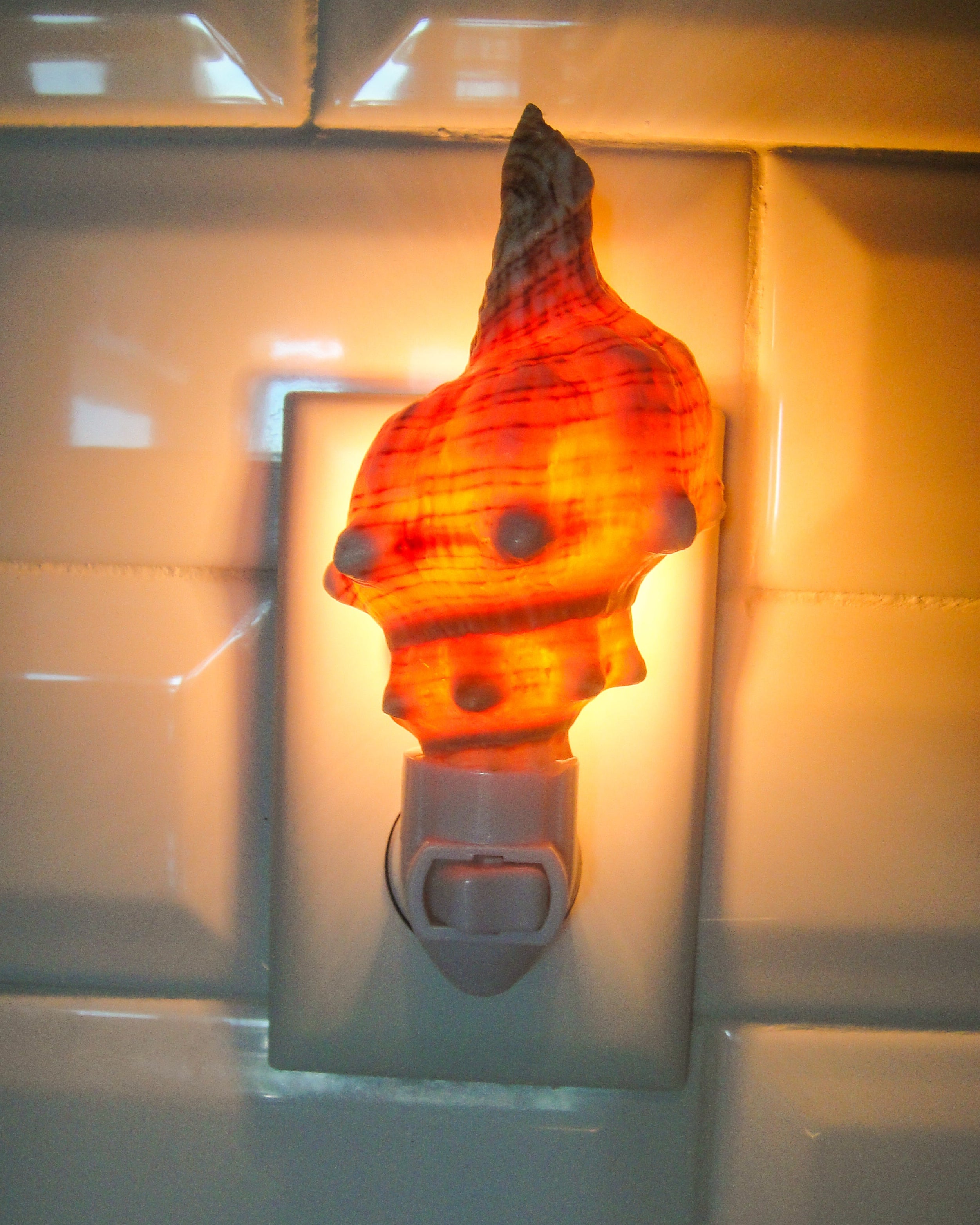 Fox Conch Night Light