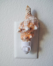 Fox Conch Night Light