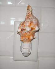 Fox Conch Night Light