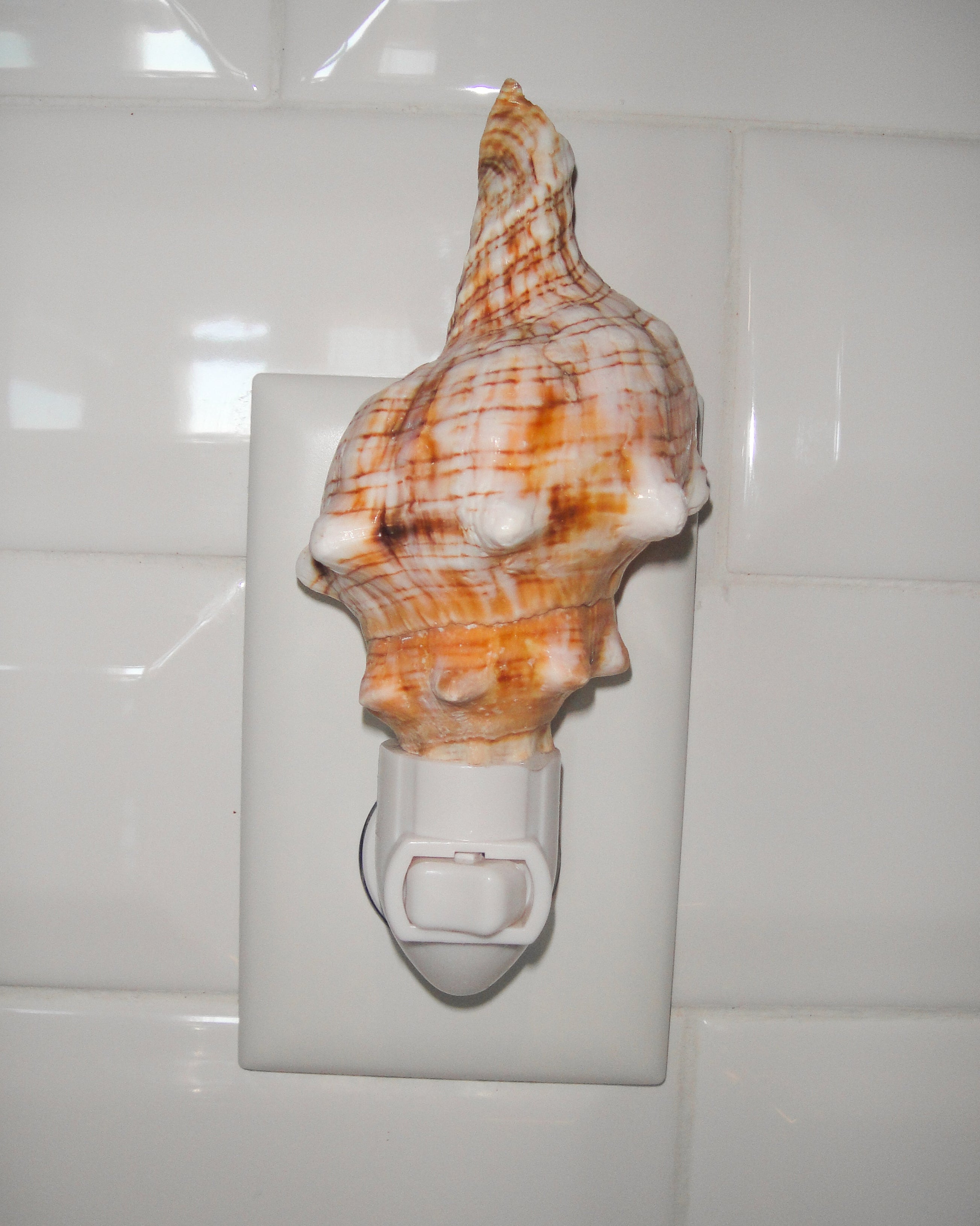 Fox Conch Night Light