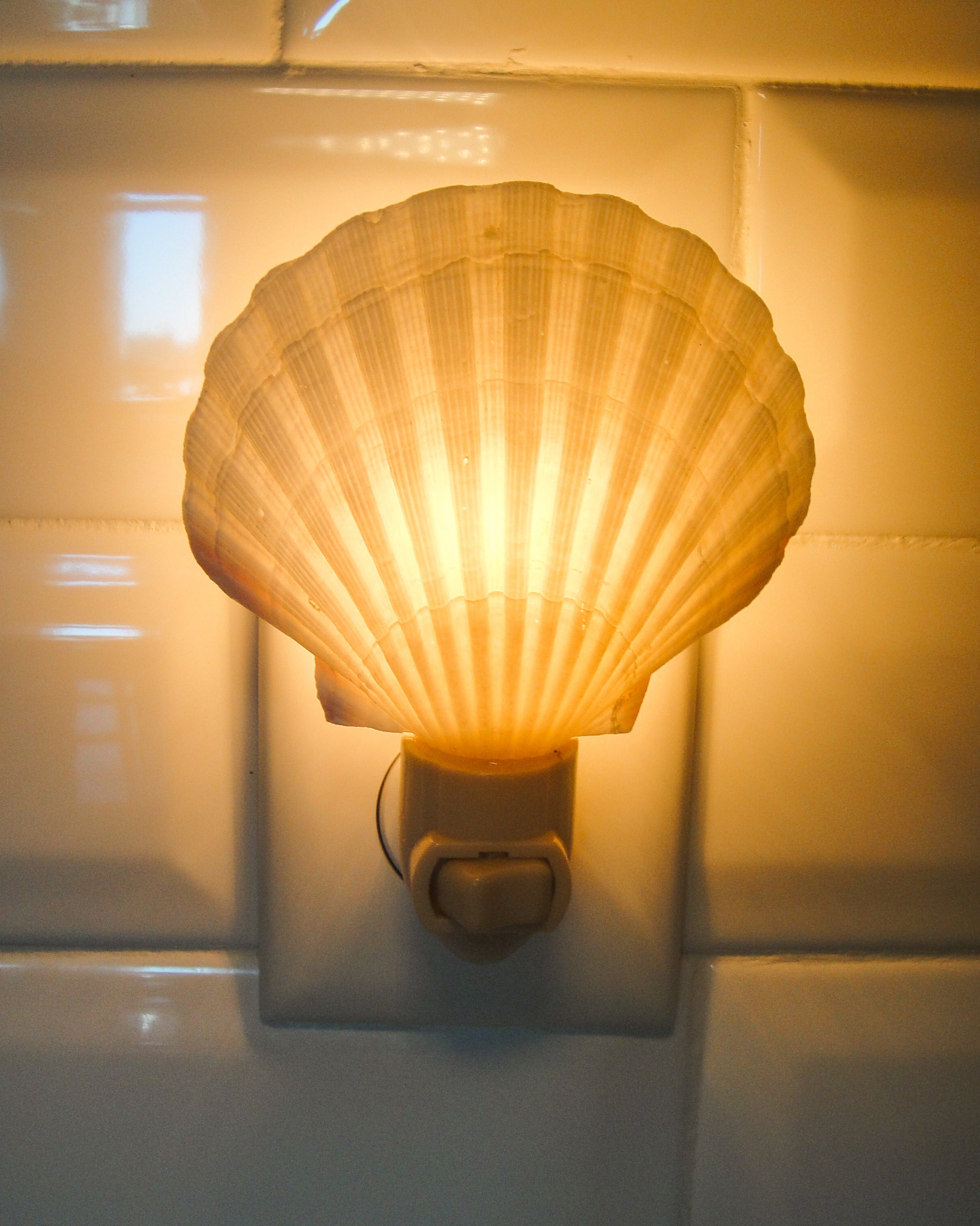 Irish Cup Night Light