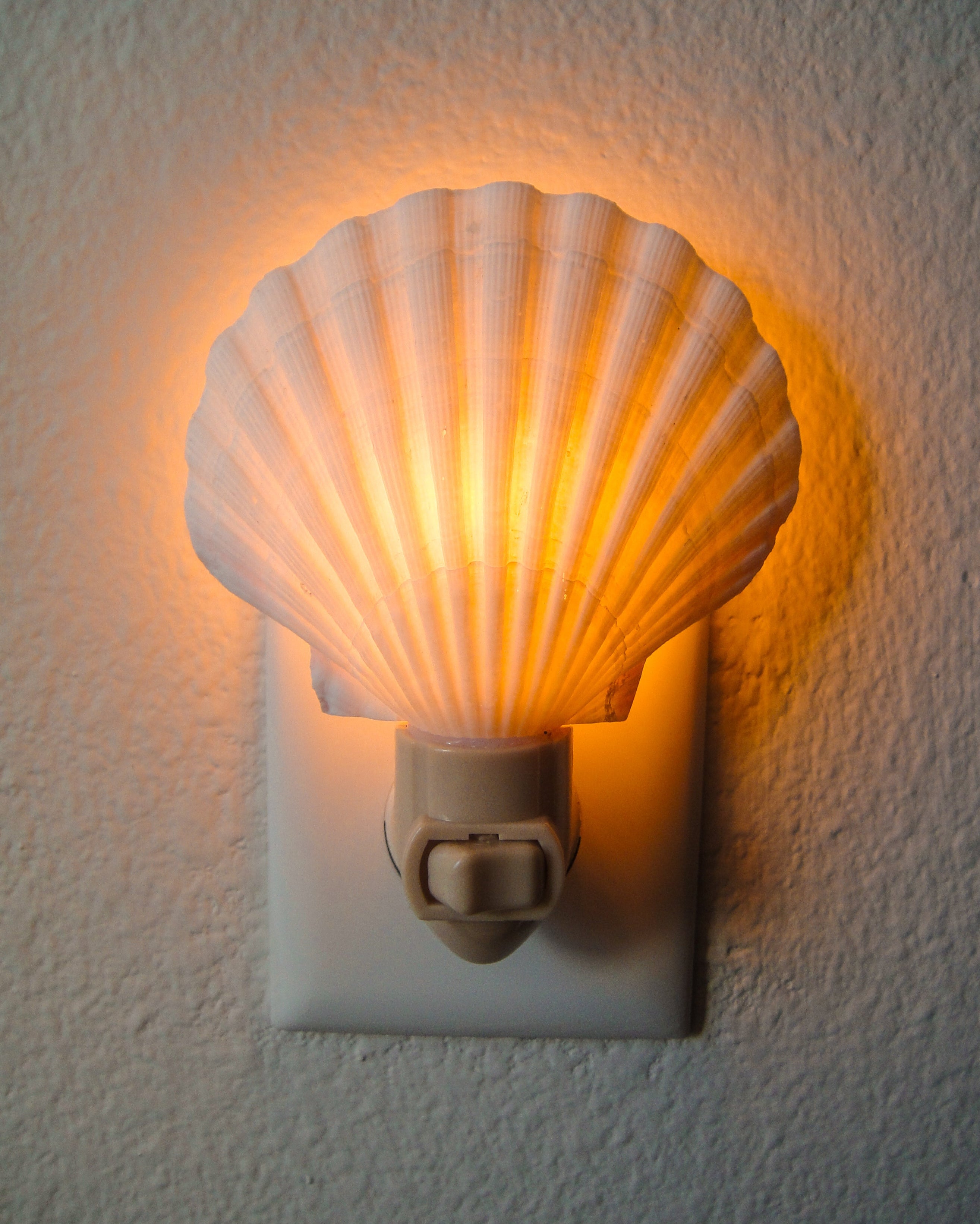Irish Cup Night Light