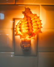 Pink Murex Night Light