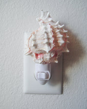 Pink Murex Night Light