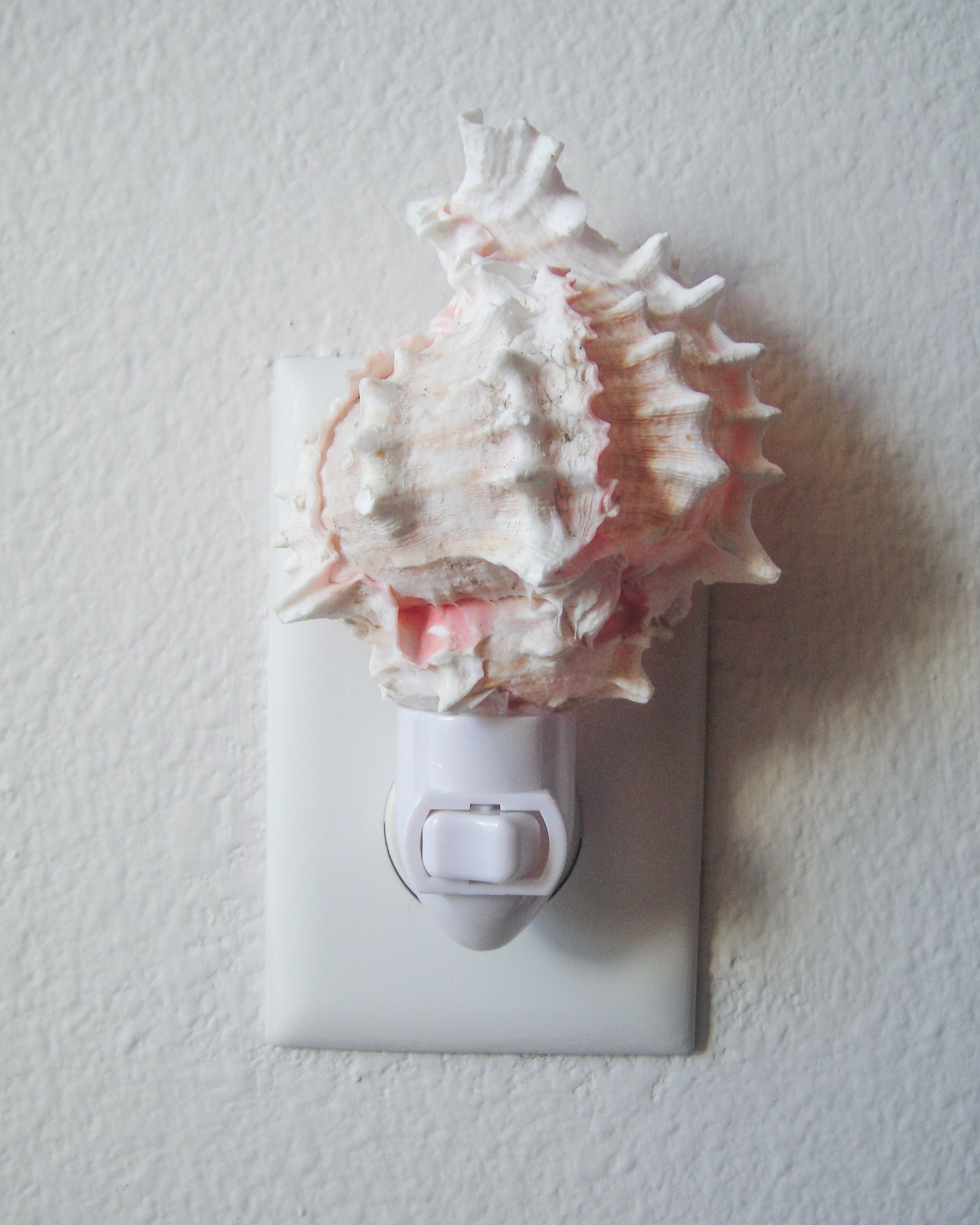 Pink Murex Night Light