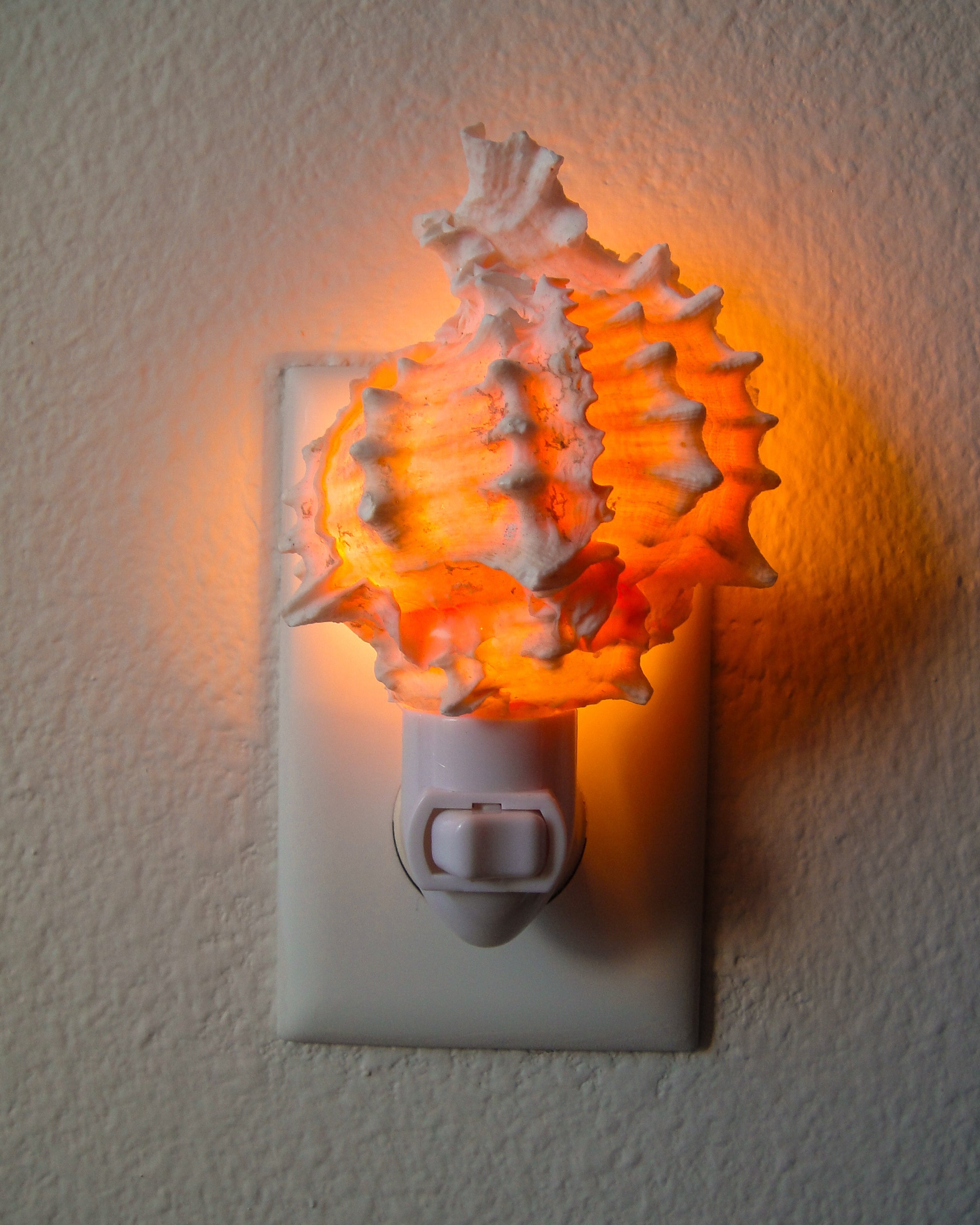 Pink Murex Night Light