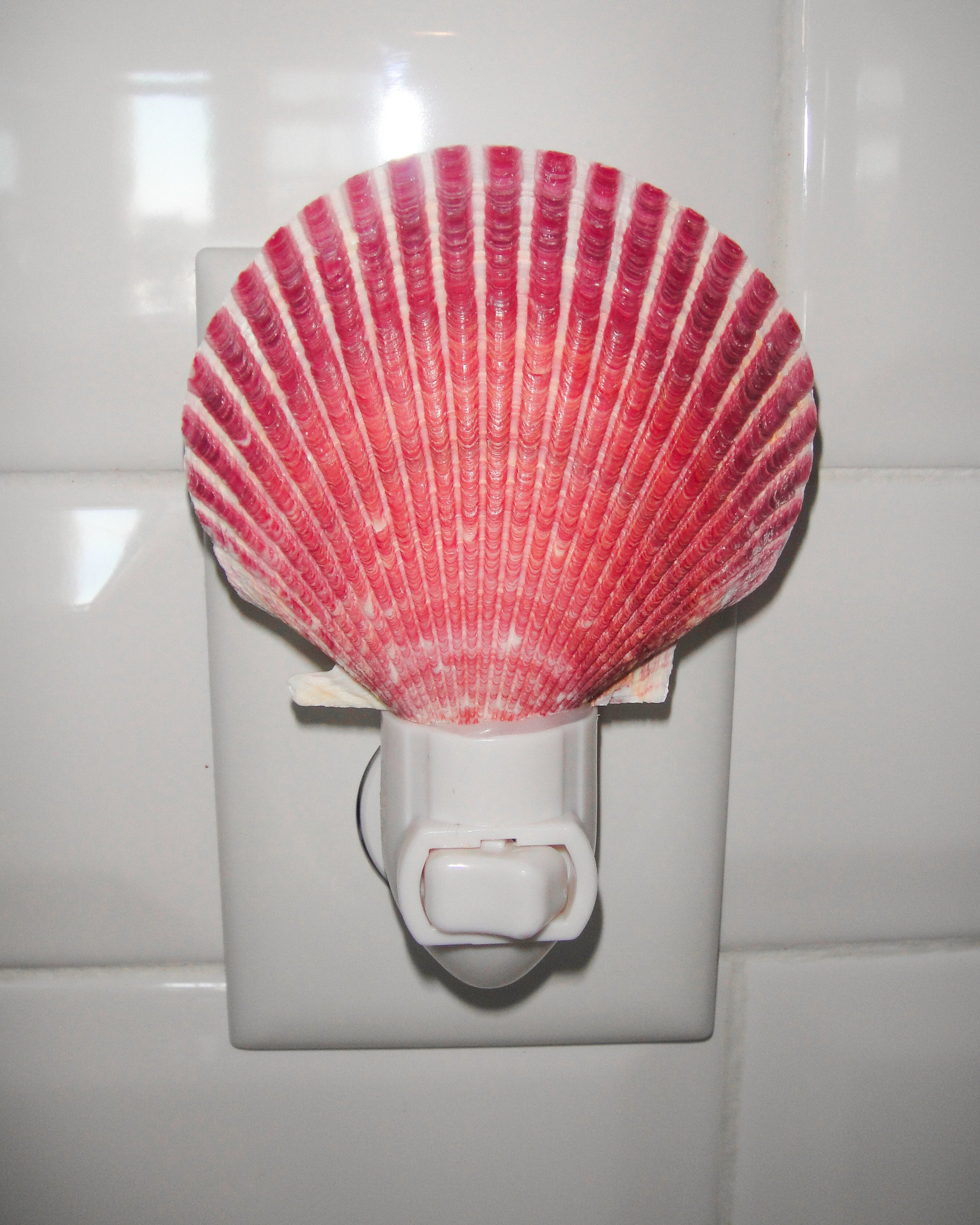 Purple Scallop Night Light