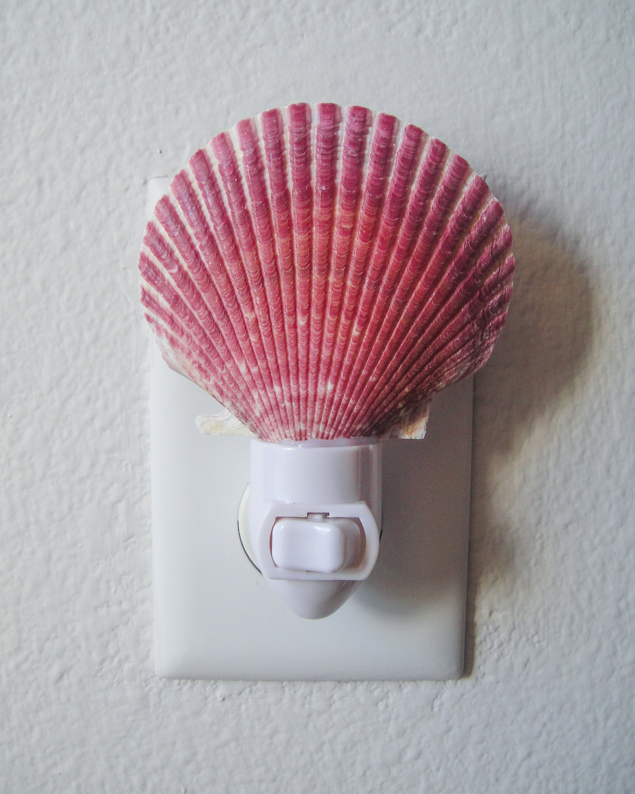 Purple Scallop Night Light