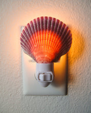 Purple Scallop Night Light