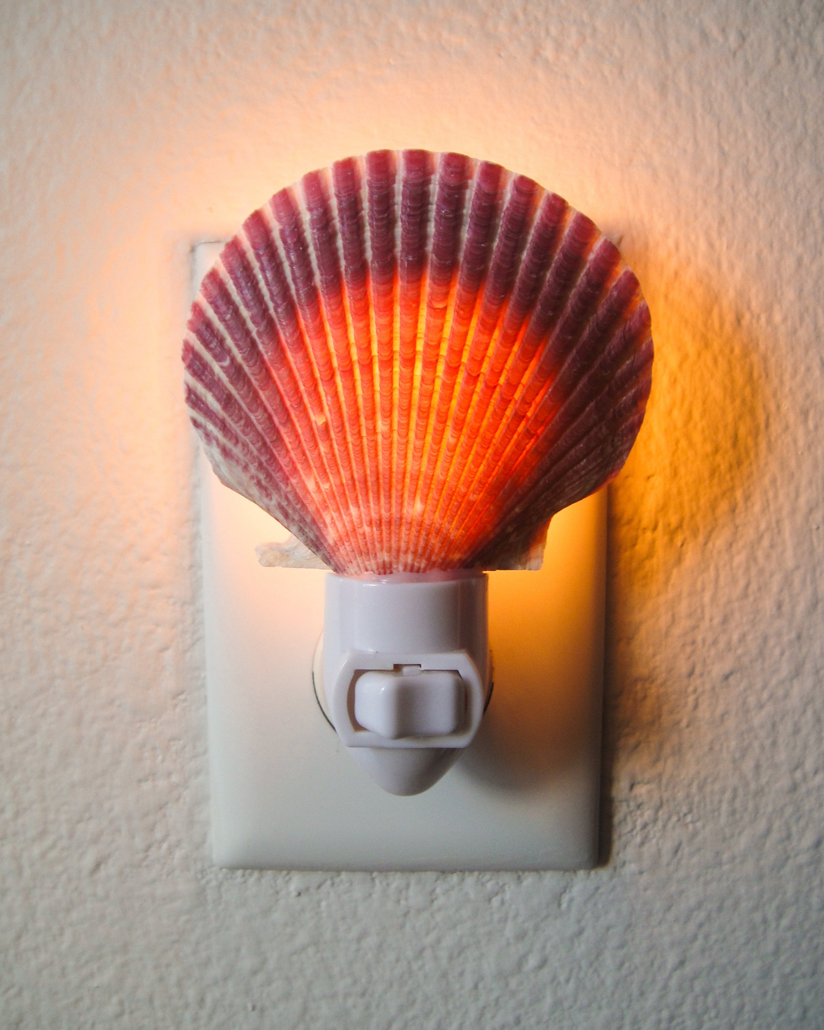 Purple Scallop Night Light