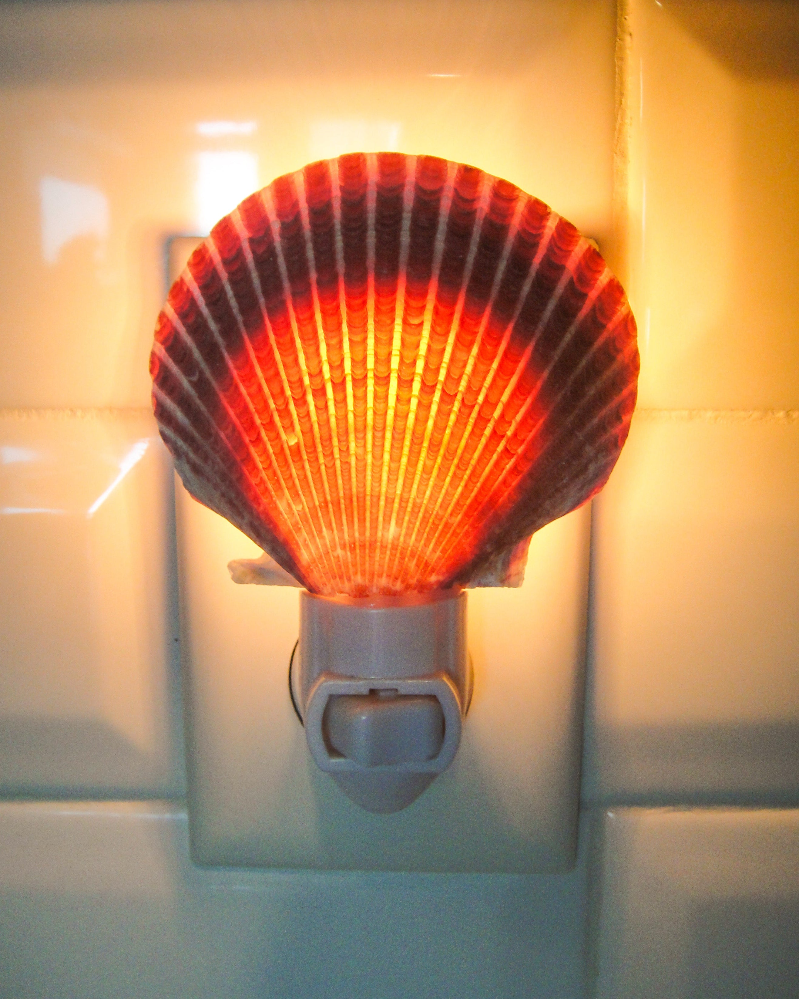 Purple Scallop Night Light