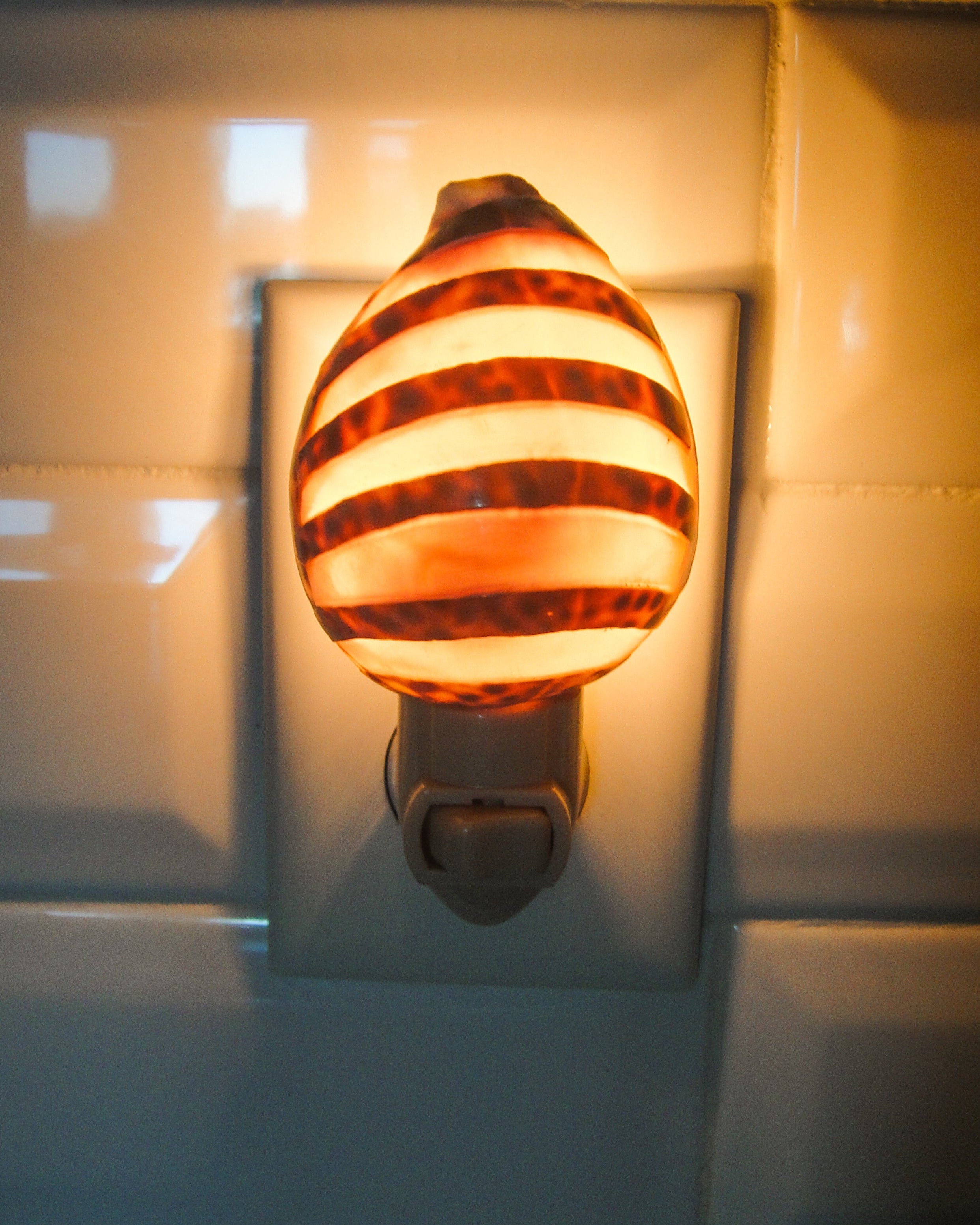 Tiger Cowry Night Light
