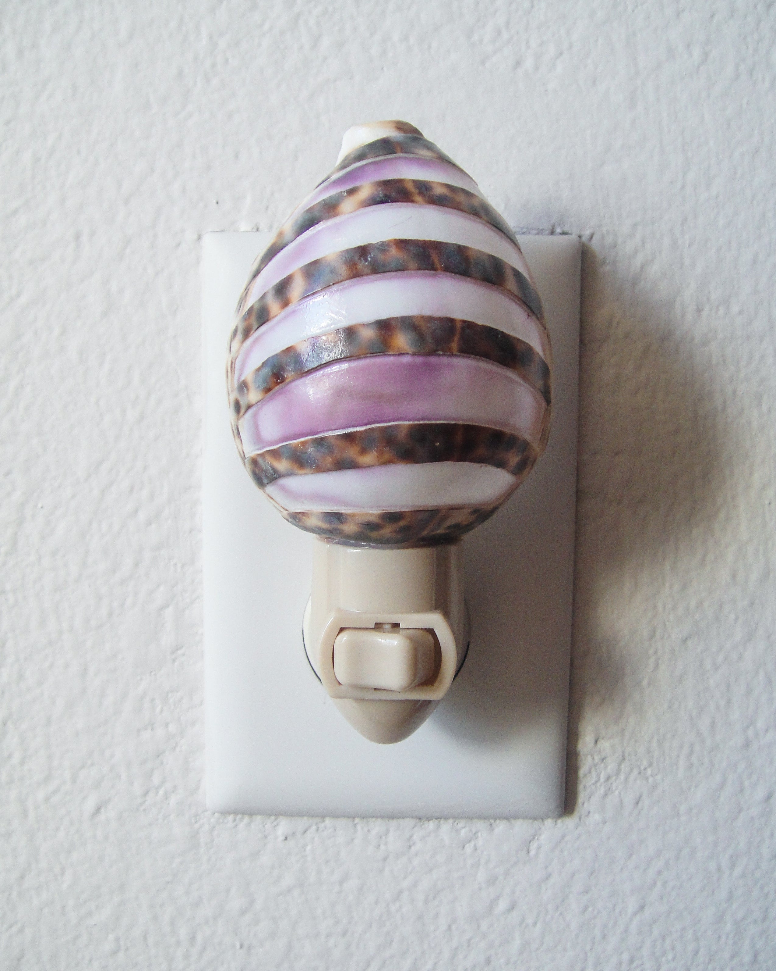Tiger Cowry Night Light