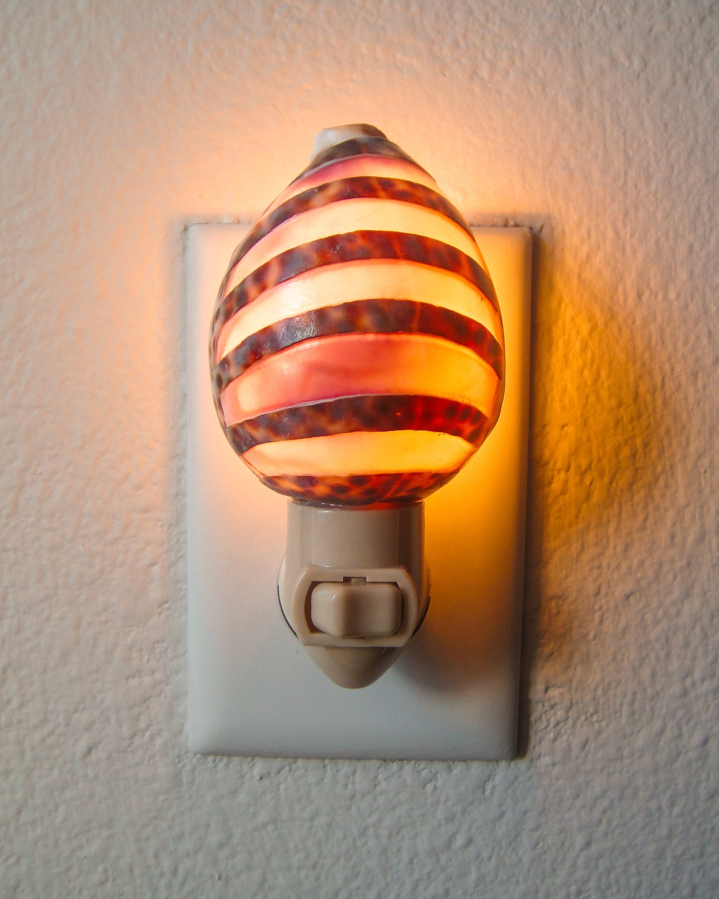 Tiger Cowry Night Light