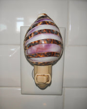 Tiger Cowry Night Light