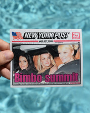Bimbo Summit Sticker